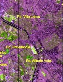 Figura 7: Problemas de uso e ocupação do solo nas áreas dos parques municipais.