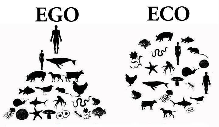 Sociedade Ego-hierárquica versus Globo Eco-cêntrico