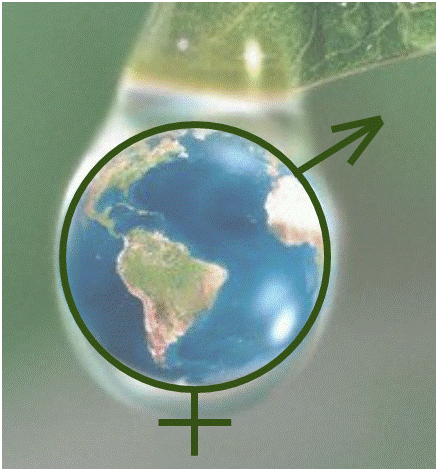 Direitos sexuais e reprodutivos e a equidade de gênero