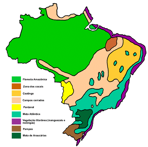 A destruição dos ecossistemas brasileiros