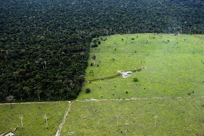 Imagem aérea mostra trecho de floresta Amazônica desmatada no Matro Grosso (maio de 2008)* Jorge Araujo/Folha Imagem