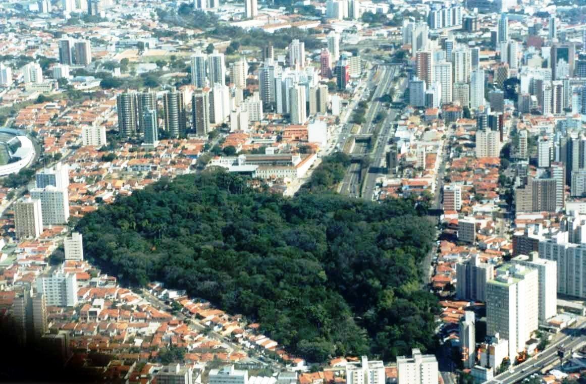 Urbanização X Meio Ambiente