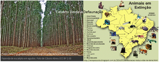 Deserto verde e Defaunação