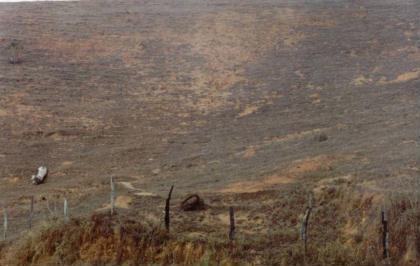 Pasto degradado e abandonado