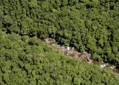 Chile: pesquisa fornece dados sobre a importância da floresta nativa para a água