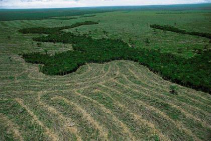 ainda existem 100 mi de hectares não protegidos ambientalmente