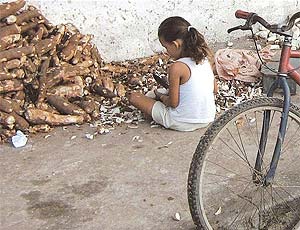Trabalho infantil no processamento de mandioca. Foto UOL