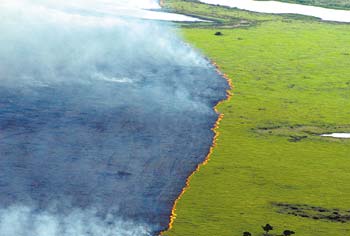 Queimada no Pantanal, em foto de arquivo