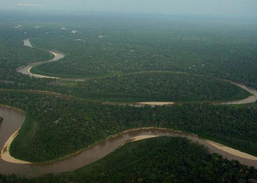 floresta amazônica