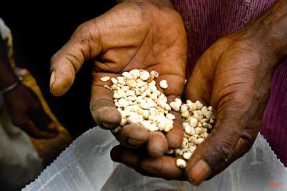 FAO: Países mais pobres vão pagar 11% a mais por alimentos