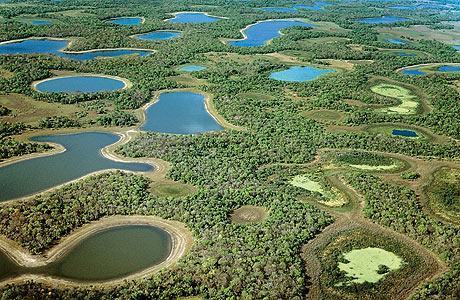 Lagoas da planície do Pantanal unem beleza e diversidade biológica. Mas as jazidas minerais no subsolo criaram uma corrida à região