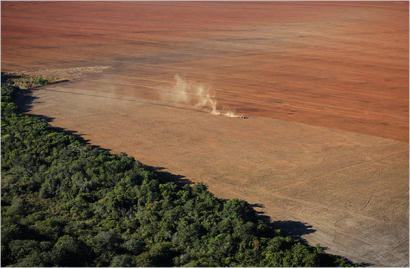 Novo Código Florestal Brasileiro dá margem para a continuação dos desmatamentos