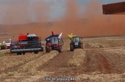 agricultura para exportação