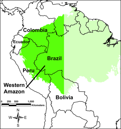 prospecção petrolífera na Amazônia