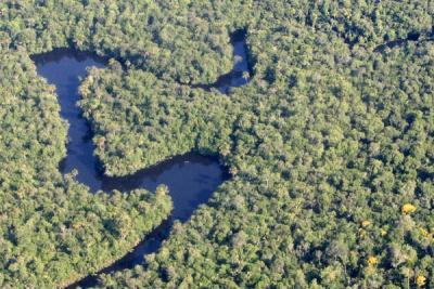 trecho preservado da Amazônia