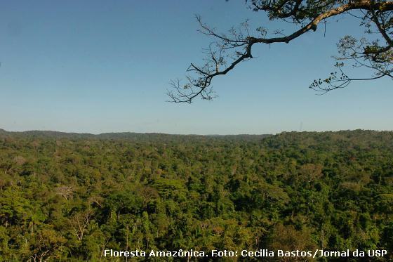 floresta Amazônica