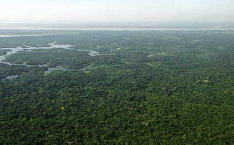 floresta amazônica