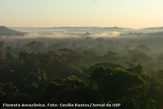 Floresta Amazônica