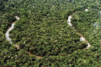 área preservada: Amazônia