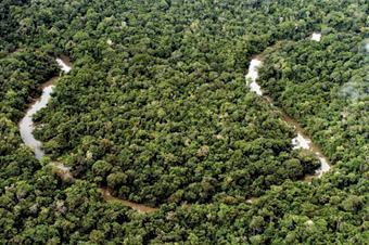 Amazônia