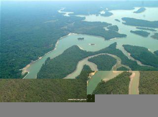 Trecho de floresta, na Amazônia