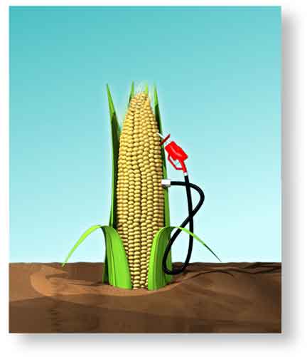 biocombustíveis x alimentos