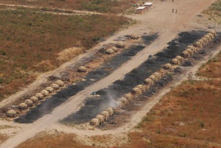 Carvoaria ilegal embargada pelo Ibama no PI, em foto de arquivo