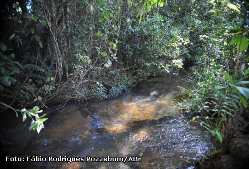 Enriquecer cobertura florestal pode manter qualidade da água