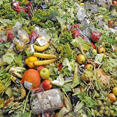 desperdício de alimentos