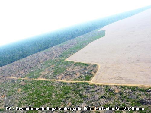 desmatamento na Amazônia