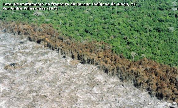 Desmatamento na Amazônia, em foto de arquivo