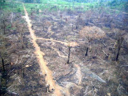 Desmatamento na Amazônia, em foto de arquivo MMA