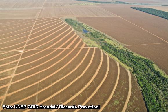 desmatamento para agropecuária