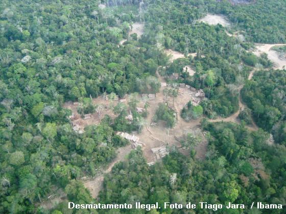 Desmatamento na Amazônia