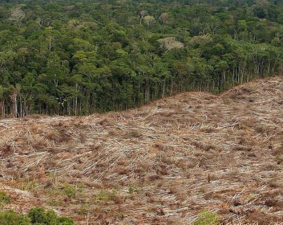 Desmatamento na Amazônia, em foto de arquivo