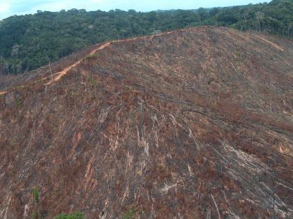 Desmatamento em área de encosta (APP), foto de arquivo MMA