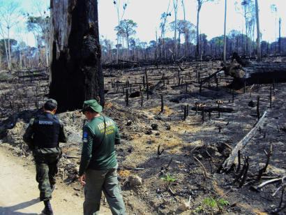 desmatamento ilegal flagrado pelo Ibama. Foto de arquivo.