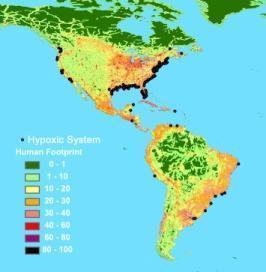 Zonas-mortas, em imagem do World Resources Institute