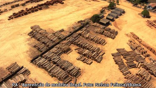 Ibama bloqueia 27 madeireiras envolvidas em fraudes com créditos de madeira serrada no Pará