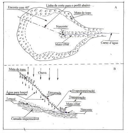 A parte “A” da Figura mostra um mapa de pequena bacia  que sustenta uma nascente.