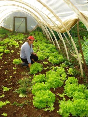 agricultura ecológica