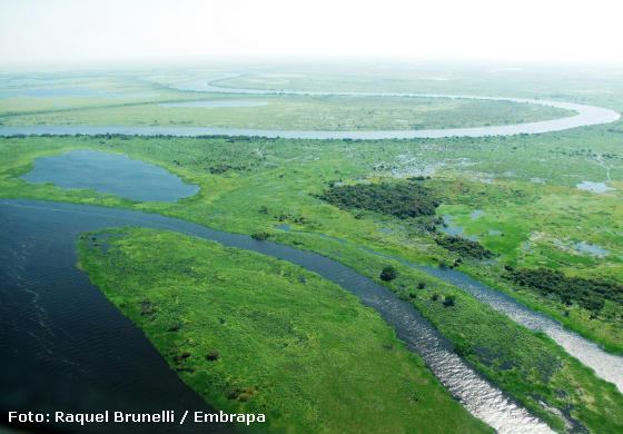 Pantanal