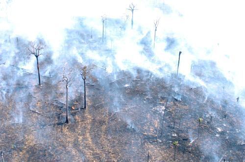 Queimada na Amazônia, em foto de arquivo