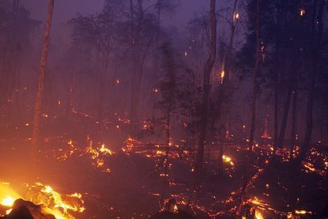 Área florestal queimada na Europa neste ano supera 2008