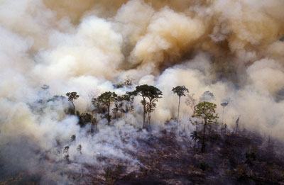 queimada na Amazônia