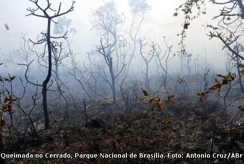 Queimada no Cerrado, em foto de arquivo