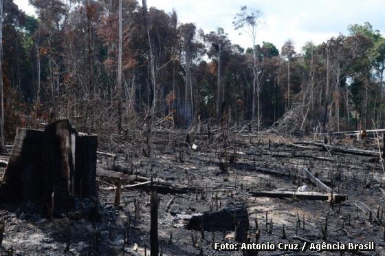 queimada na Amazônia