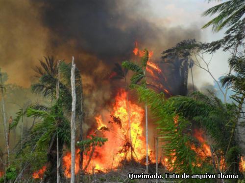 incêndio florestal na Amazônia