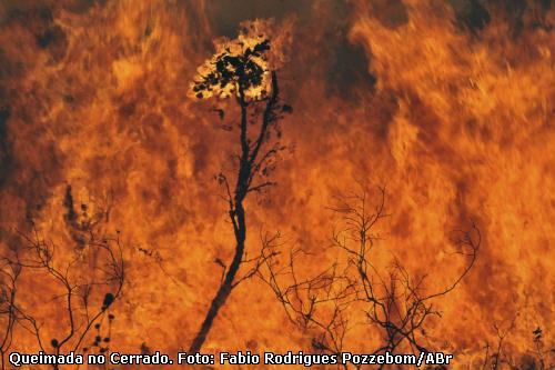 Incêndio Florestal em foto de arquivo