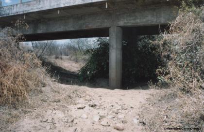 Rio intermitente, no semiárido, região do Vale do Açu/RN. Foto de Henrique Cortez